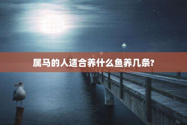 属马的人适合养什么鱼养几条?