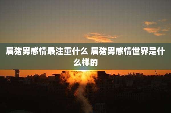 属猪男感情最注重什么 属猪男感情世界是什么样的