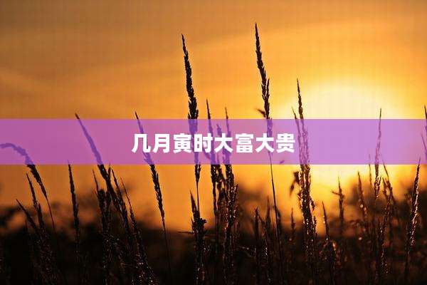 几月寅时大富大贵