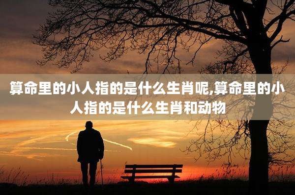 算命里的小人指的是什么生肖呢,算命里的小人指的是什么生肖和动物