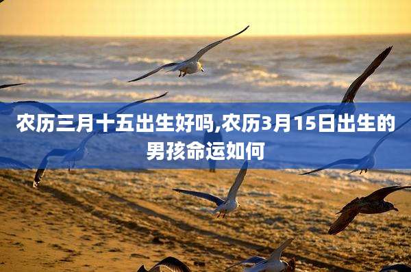 农历三月十五出生好吗,农历3月15日出生的男孩命运如何
