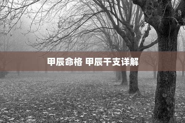 甲辰命格 甲辰干支详解