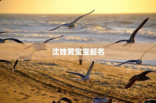 沈姓男宝宝起名