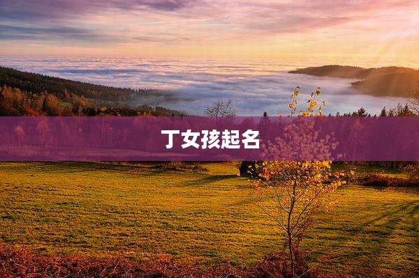 丁女孩起名