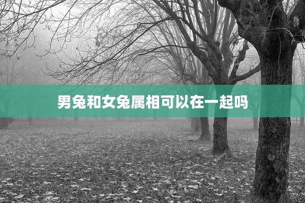 男兔和女兔属相可以在一起吗
