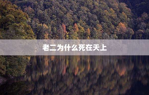 老二为什么死在天上