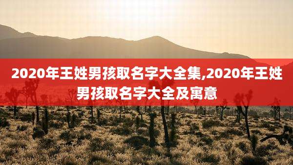 2020年王姓男孩取名字大全集,2020年王姓男孩取名字大全及寓意