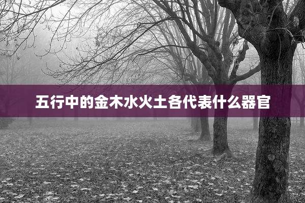 五行中的金木水火土各代表什么器官