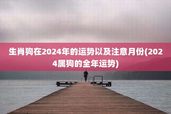 生肖狗在2024年的运势以及注意月份(2024属狗的全年运势)
