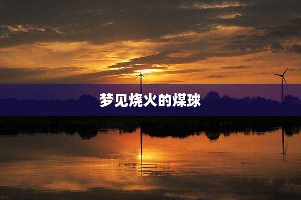 梦见烧火的煤球