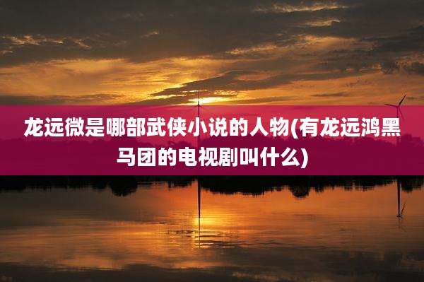 龙远微是哪部武侠小说的人物(有龙远鸿黑马团的电视剧叫什么)
