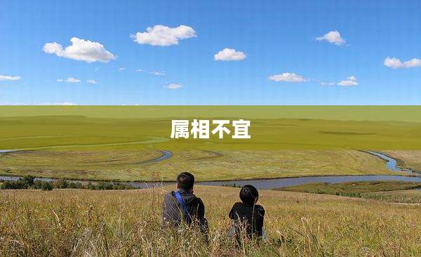 属相不宜
