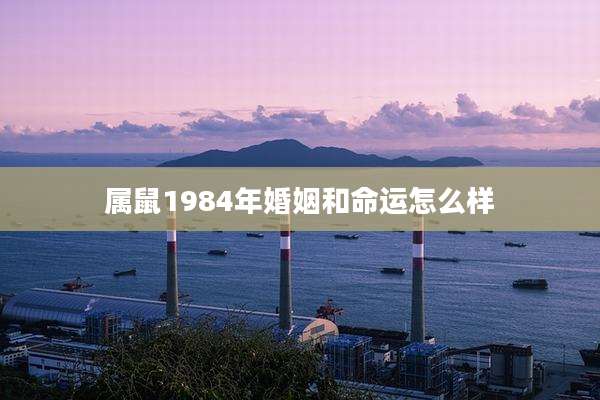 属鼠1984年婚姻和命运怎么样