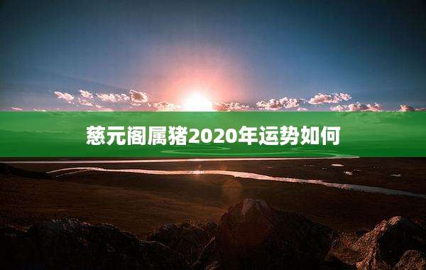 慈元阁属猪2020年运势如何