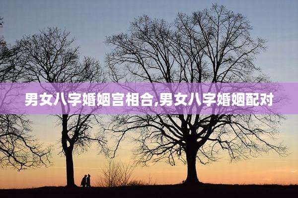男女八字婚姻宫相合,男女八字婚姻配对
