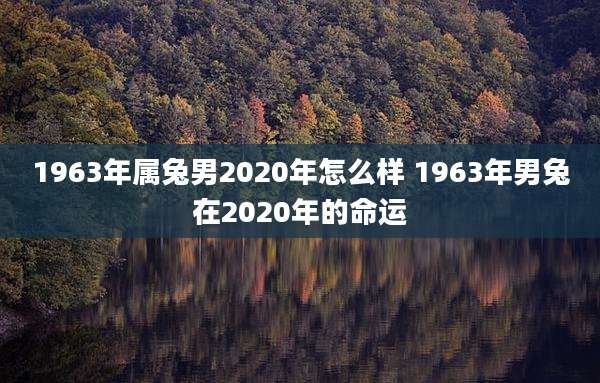 1963年属兔男2020年怎么样 1963年男兔在2020年的命运