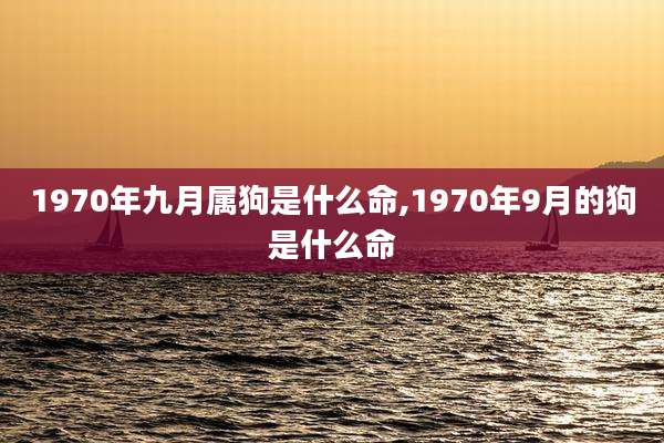 1970年九月属狗是什么命,1970年9月的狗是什么命
