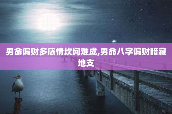 男命偏财多感情坎坷难成,男命八字偏财暗藏地支