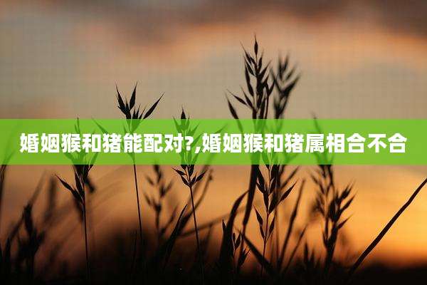 婚姻猴和猪能配对?,婚姻猴和猪属相合不合