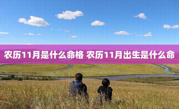 农历11月是什么命格 农历11月出生是什么命