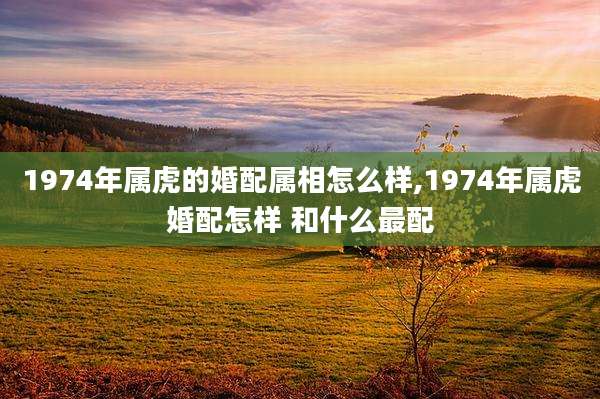 1974年属虎的婚配属相怎么样,1974年属虎婚配怎样 和什么最配