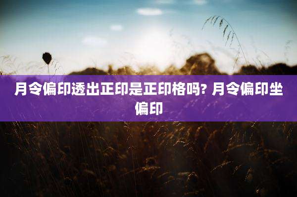 月令偏印透出正印是正印格吗? 月令偏印坐偏印