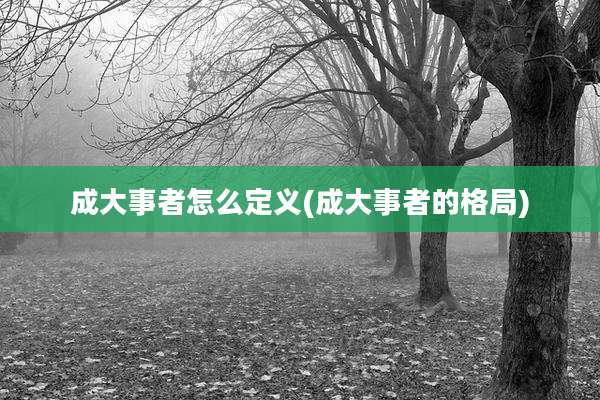 成大事者怎么定义(成大事者的格局)