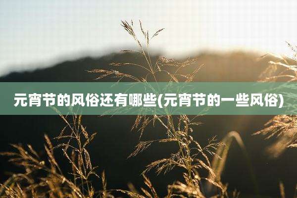 元宵节的风俗还有哪些(元宵节的一些风俗)