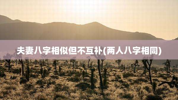 夫妻八字相似但不互补(两人八字相同)