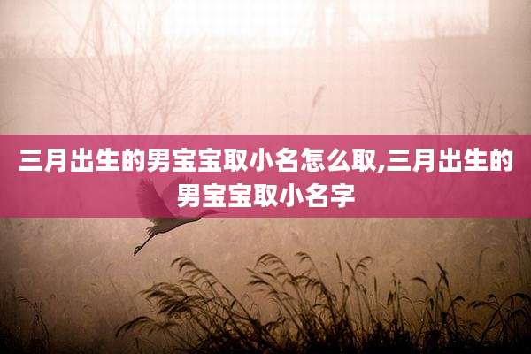 三月出生的男宝宝取小名怎么取,三月出生的男宝宝取小名字
