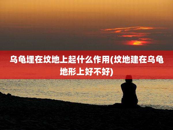 乌龟埋在坟地上起什么作用(坟地建在乌龟地形上好不好)