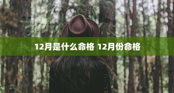 12月是什么命格 12月份命格