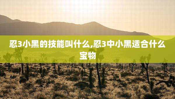 忍3小黑的技能叫什么,忍3中小黑适合什么宝物