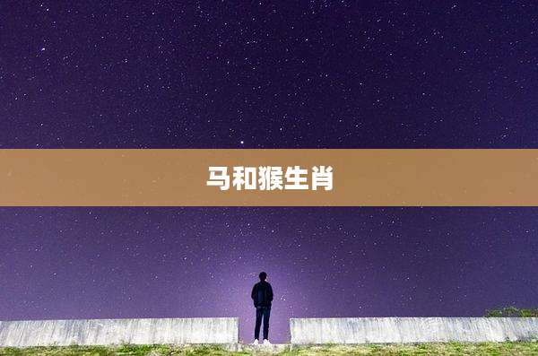 马和猴生肖