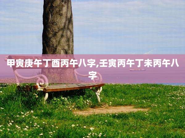 甲寅庚午丁酉丙午八字,壬寅丙午丁未丙午八字