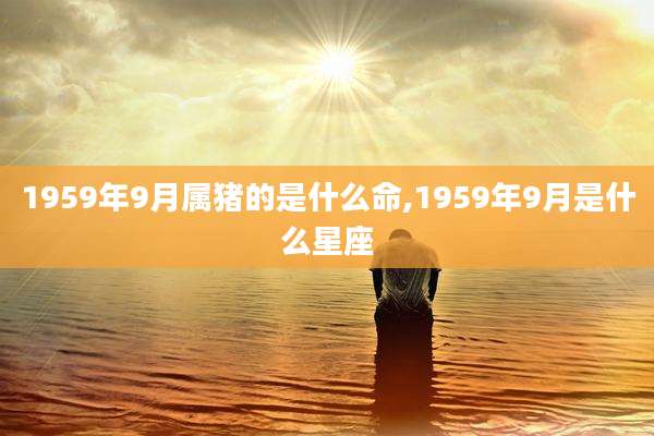 1959年9月属猪的是什么命,1959年9月是什么星座