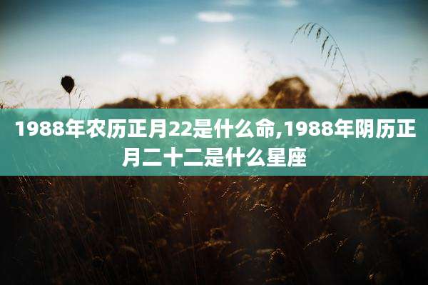1988年农历正月22是什么命,1988年阴历正月二十二是什么星座