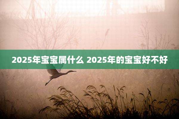 2025年宝宝属什么 2025年的宝宝好不好