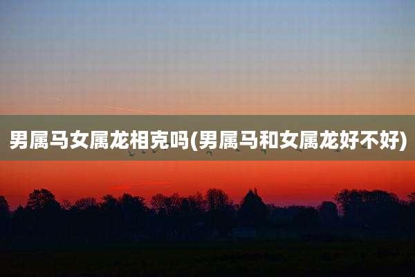 男属马女属龙相克吗(男属马和女属龙好不好)