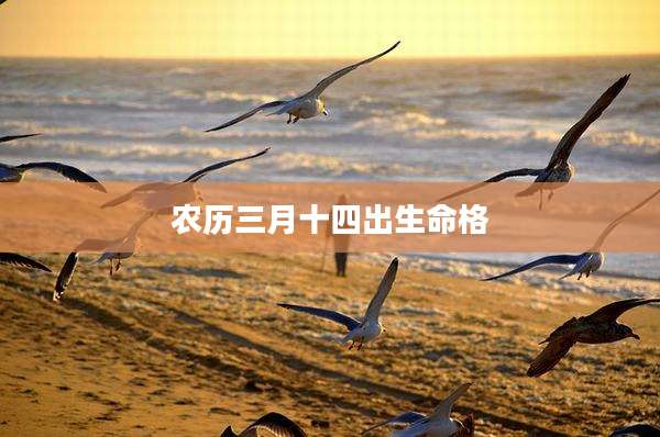 农历三月十四出生命格