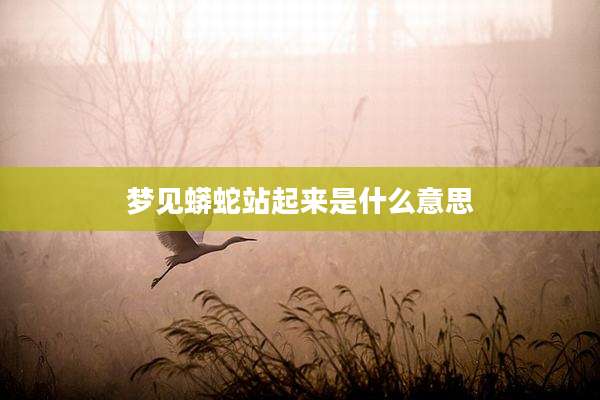 梦见蟒蛇站起来是什么意思