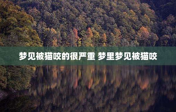 梦见被猫咬的很严重 梦里梦见被猫咬