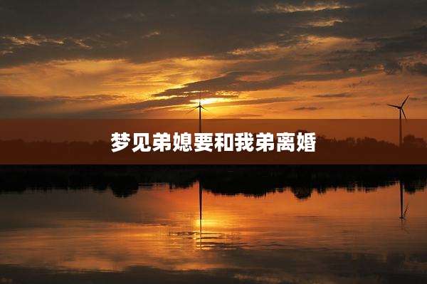 梦见弟媳要和我弟离婚