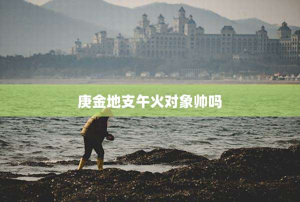 庚金地支午火对象帅吗