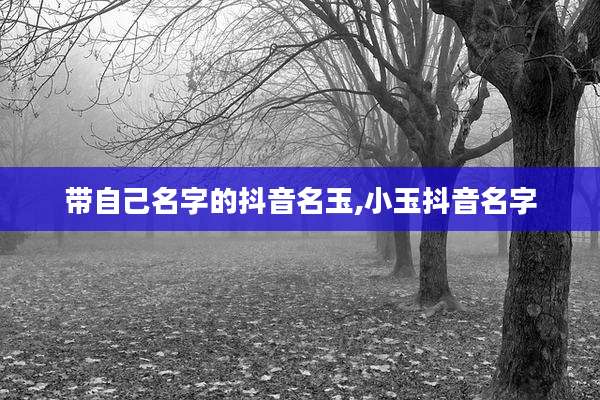 带自己名字的抖音名玉,小玉抖音名字