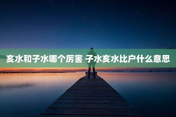 亥水和子水哪个厉害 子水亥水比户什么意思