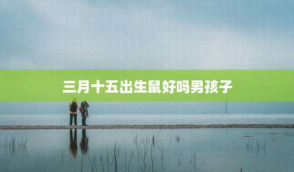 三月十五出生鼠好吗男孩子