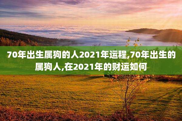 70年出生属狗的人2021年运程,70年出生的属狗人,在2021年的财运如何