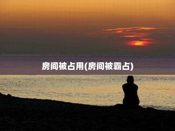 房间被占用(房间被霸占)