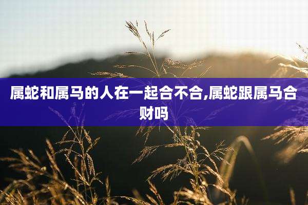属蛇和属马的人在一起合不合,属蛇跟属马合财吗